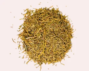 Araar marocain bois sacré purificateur