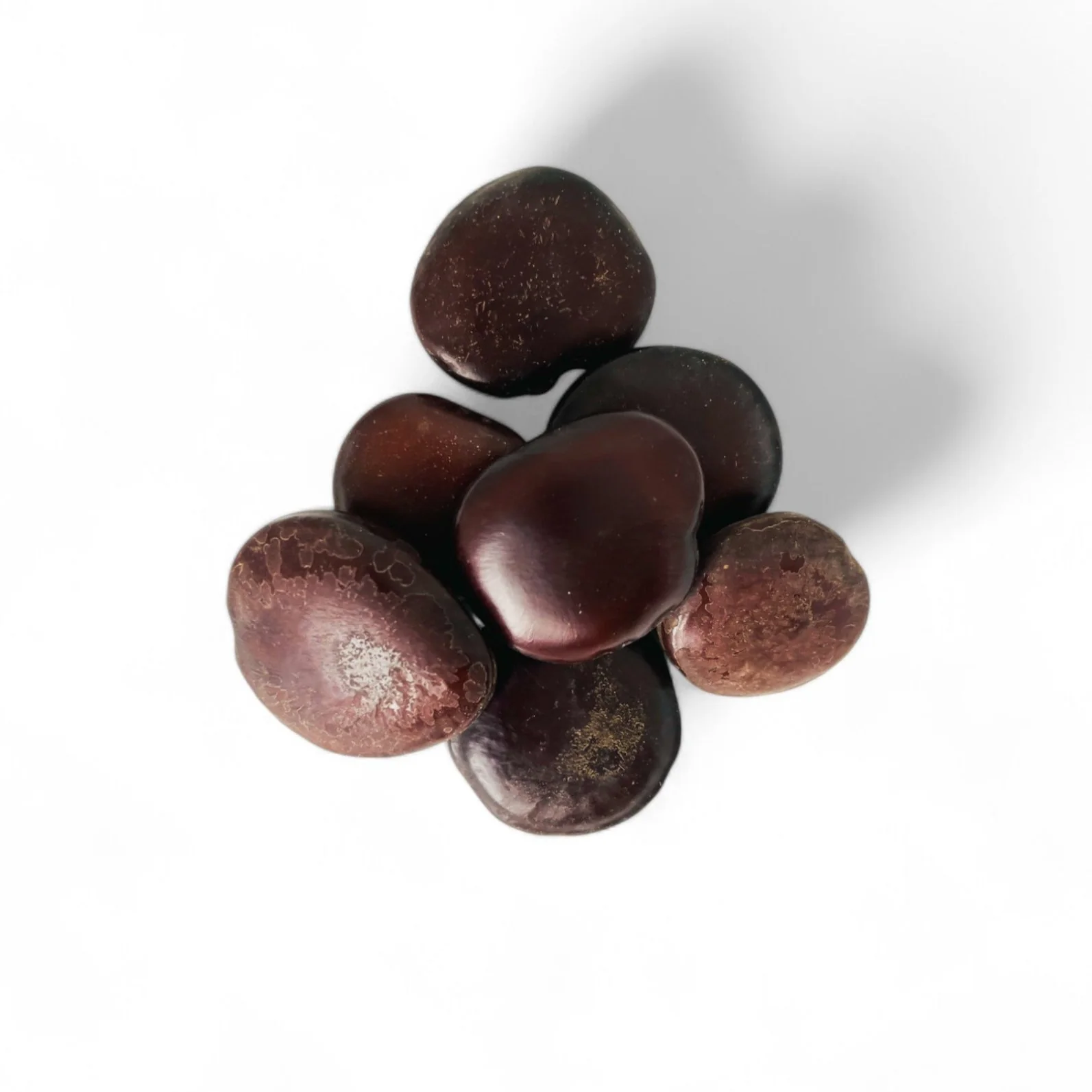 Kallawa encens ésotérique traditionnel قرص القمر