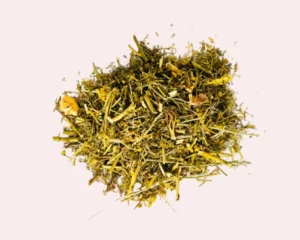 Encens de Rue Officinale Ruta pour purification énergétique