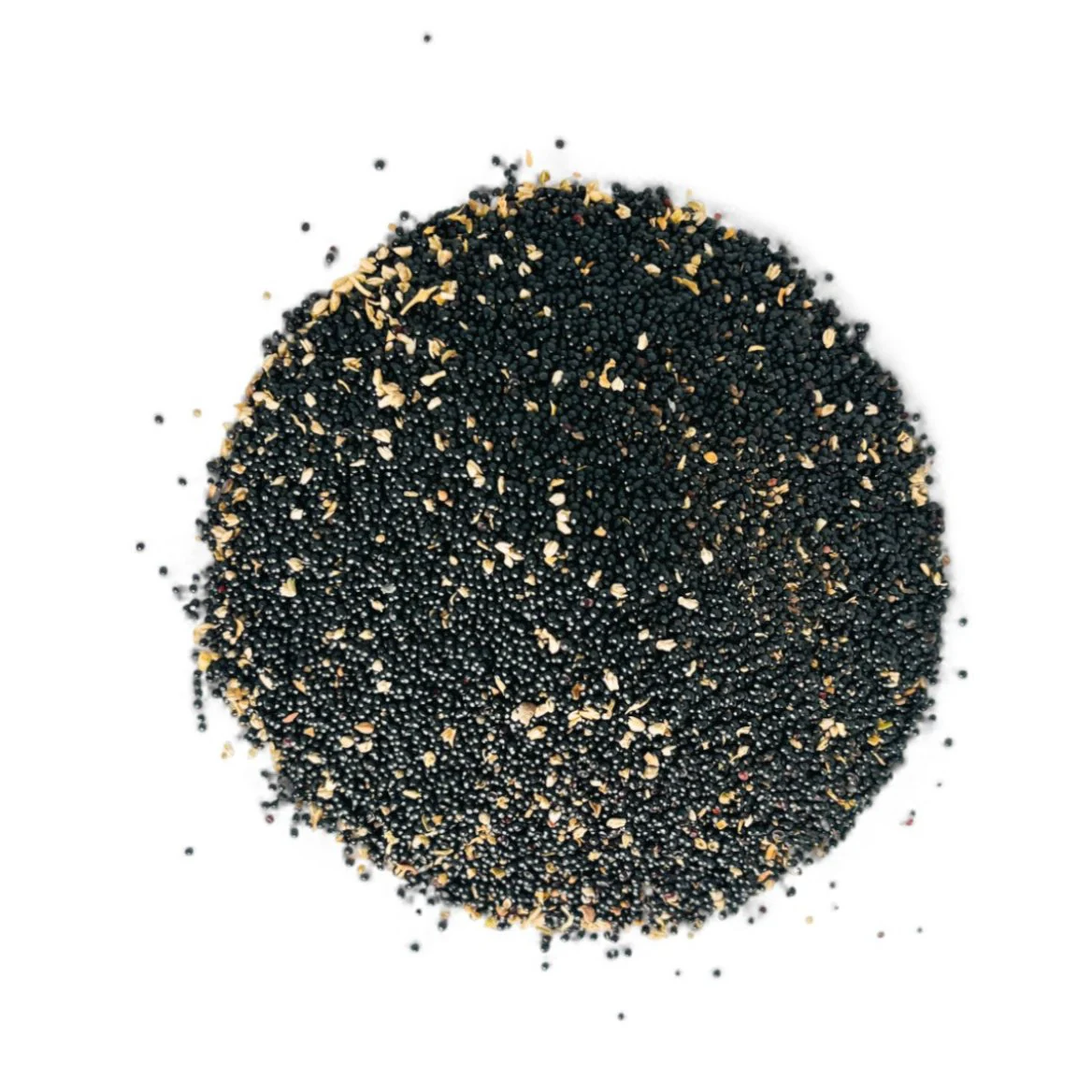 Encens Sakhtah et Maskoutah parfum traditionnel oriental