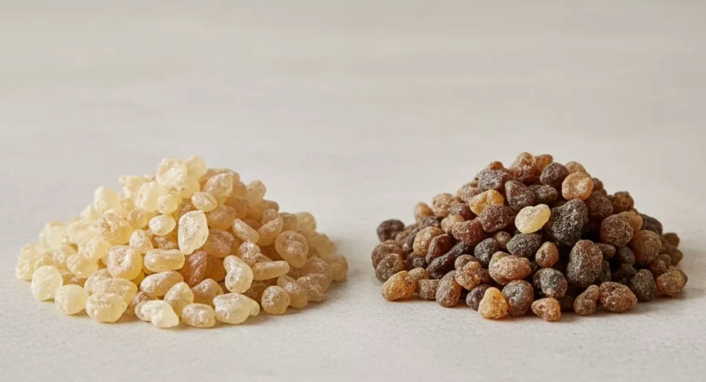 Différentes formes d’encens Oliban naturel en résine claire et sombre