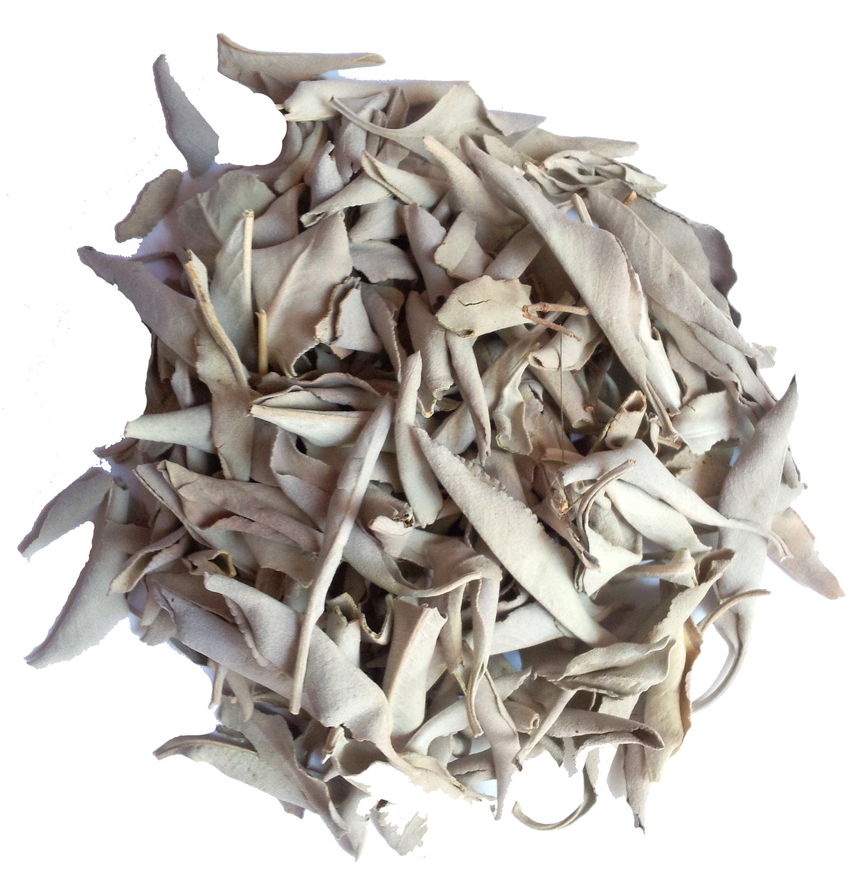white sage, incense, energetic cleansings, shamanism, white sage, white sage, white sage, white sage, white sage