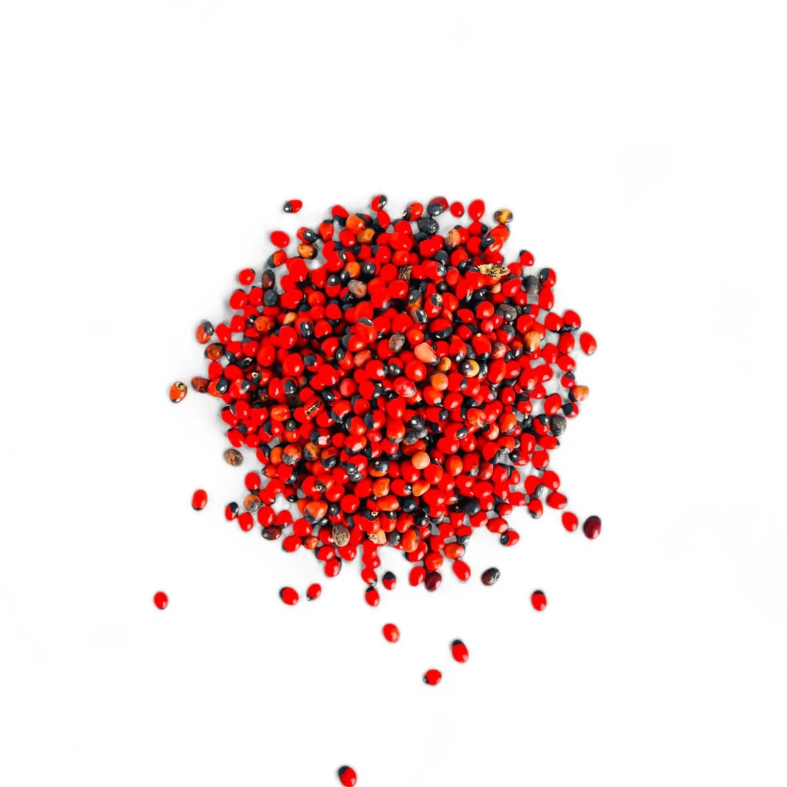 Graines Habat el’Acheq encens ésotérique ancestral oriental