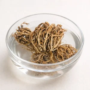 rose de jéricho naturelle plante décorative qui s ouvre dans eau