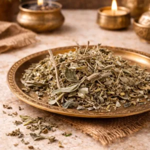 Sauge officinale séchée utilisée pour la purification et l’encens naturel